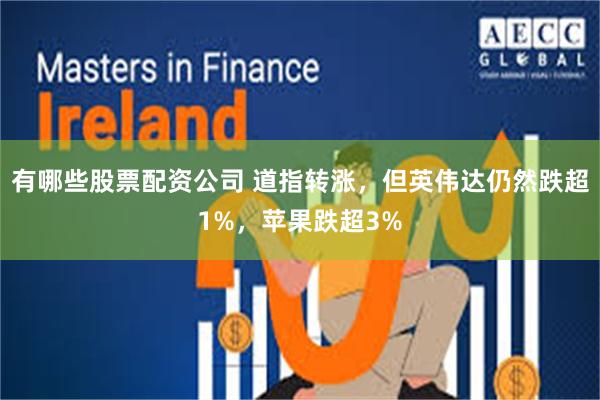 有哪些股票配资公司 道指转涨，但英伟达仍然跌超1%，苹果跌超3%