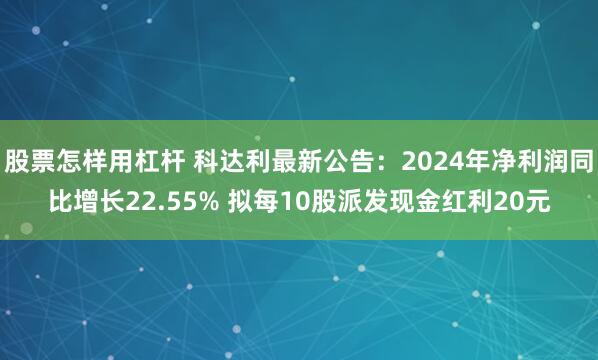 股票怎样用杠杆 科达利最新公告：2024年净利润同比增长22.55% 拟每10股派发现金红利20元