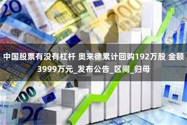 中国股票有没有杠杆 奥来德累计回购192万股 金额3999万元_发布公告_区间_归母