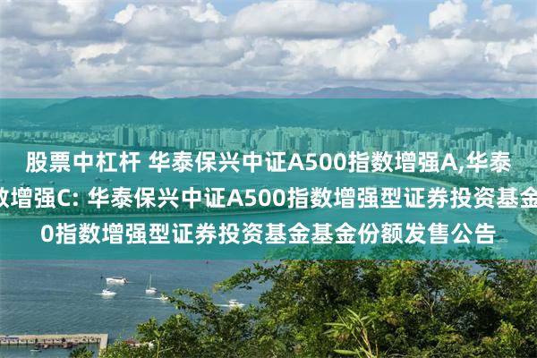 股票中杠杆 华泰保兴中证A500指数增强A,华泰保兴中证A500指数增强C: 华泰保兴中证A500指数增强型证券投资基金基金份额发售公告