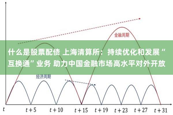 什么是股票配债 上海清算所：持续优化和发展“互换通”业务 助力中国金融市场高水平对外开放