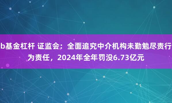 b基金杠杆 证监会：全面追究中介机构未勤勉尽责行为责任，2024年全年罚没6.73亿元