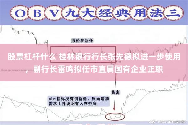 股票杠杆什么 桂林银行行长张先德拟进一步使用，副行长雷鸣拟任市直属国有企业正职