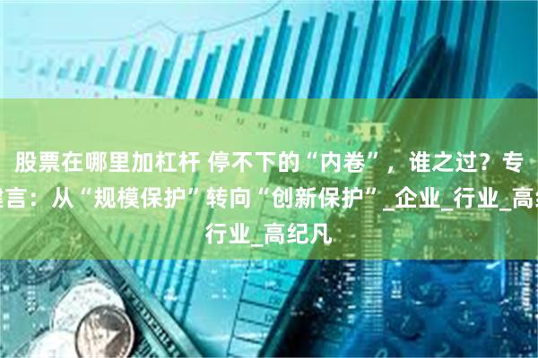 股票在哪里加杠杆 停不下的“内卷”，谁之过？专家建言：从“规模保护”转向“创新保护”_企业_行业_高纪凡