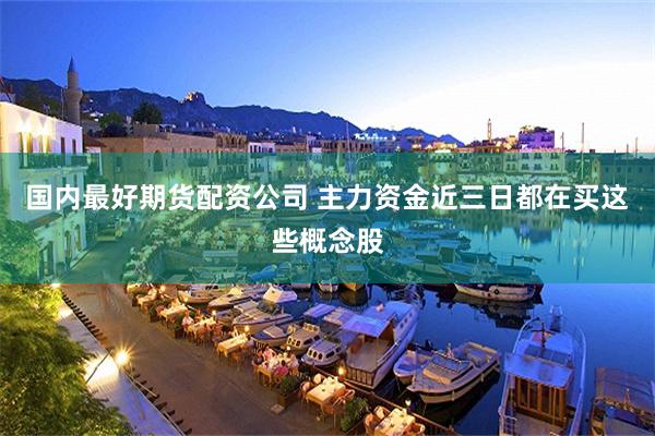 国内最好期货配资公司 主力资金近三日都在买这些概念股