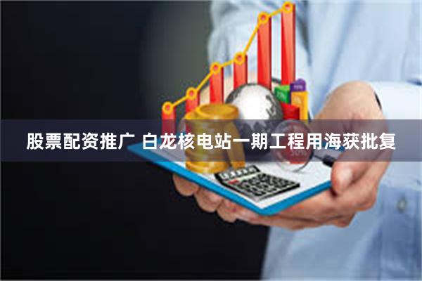 股票配资推广 白龙核电站一期工程用海获批复