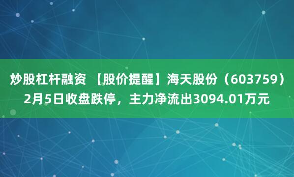 炒股杠杆融资 【股价提醒】海天股份（603759）2月5日收盘跌停，主力净流出3094.01万元