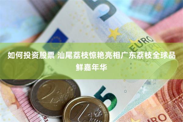 如何投资股票 汕尾荔枝惊艳亮相广东荔枝全球品鲜嘉年华