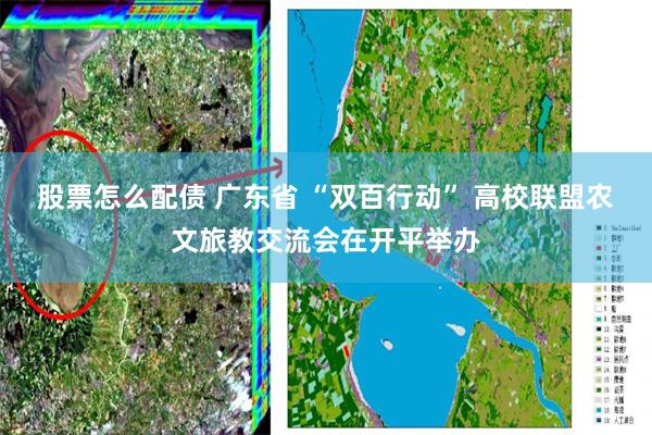 股票怎么配债 广东省 “双百行动” 高校联盟农文旅教交流会在开平举办