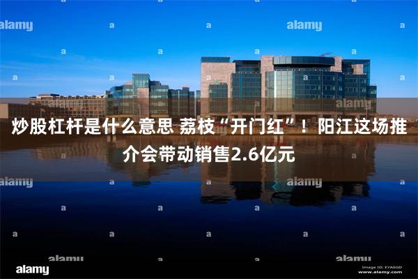 炒股杠杆是什么意思 荔枝“开门红”！阳江这场推介会带动销售2.6亿元