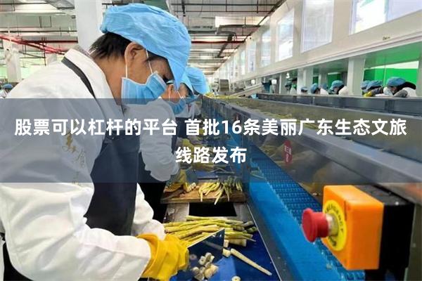 股票可以杠杆的平台 首批16条美丽广东生态文旅线路发布