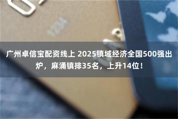 广州卓信宝配资线上 2025镇域经济全国500强出炉，麻涌镇排35名，上升14位！