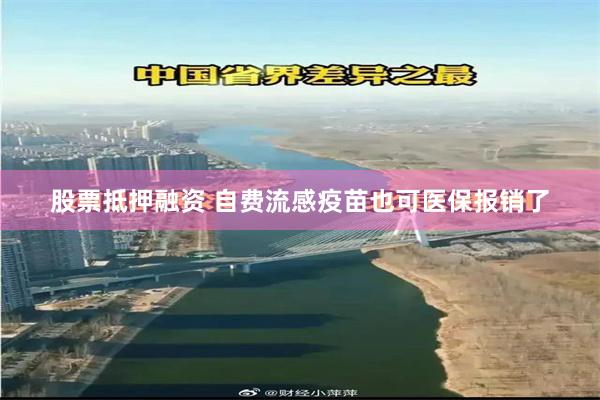 股票抵押融资 自费流感疫苗也可医保报销了