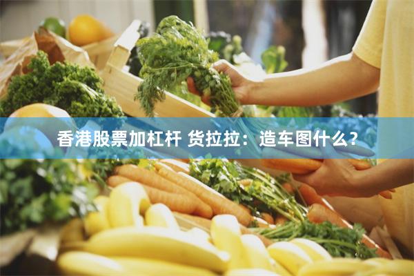 香港股票加杠杆 货拉拉：造车图什么？