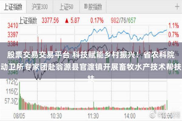 股票交易交易平台 科技赋能乡村振兴！省农科院动卫所专家团赴翁源县官渡镇开展畜牧水产技术帮扶