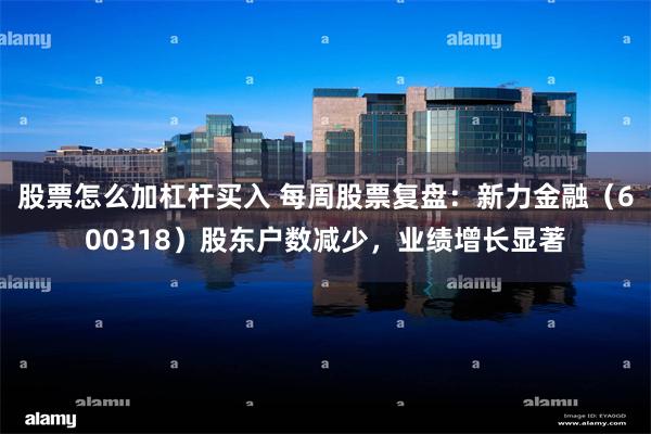 股票怎么加杠杆买入 每周股票复盘：新力金融（600318）股东户数减少，业绩增长显著