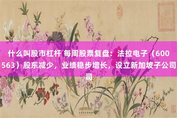 什么叫股市杠杆 每周股票复盘：法拉电子（600563）股东减少，业绩稳步增长，设立新加坡子公司
