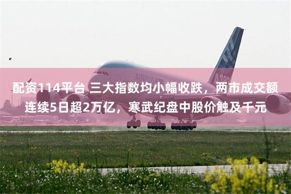 配资114平台 三大指数均小幅收跌，两市成交额连续5日超2万亿，寒武纪盘中股价触及千元