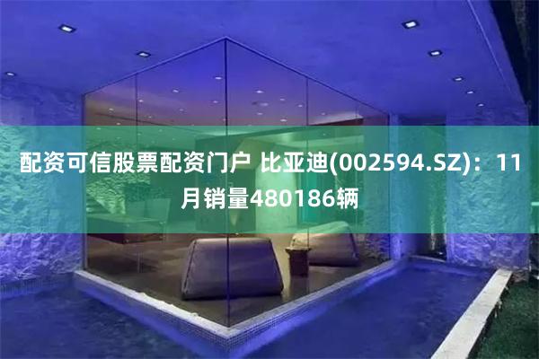 配资可信股票配资门户 比亚迪(002594.SZ)：11月销量480186辆