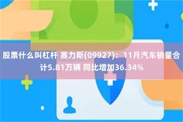 股票什么叫杠杆 赛力斯(09927)：11月汽车销量合计5.81万辆 同比增加36.34%