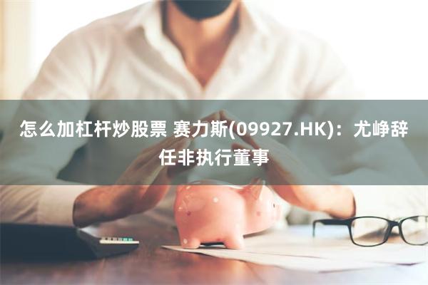 怎么加杠杆炒股票 赛力斯(09927.HK)：尤峥辞任非执行董事