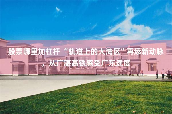 股票哪里加杠杆 “轨道上的大湾区”再添新动脉，从广湛高铁感受广东速度