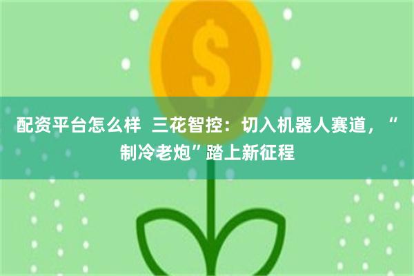 配资平台怎么样 三花智控:切入机器人赛道,“制冷老炮”踏上新征程