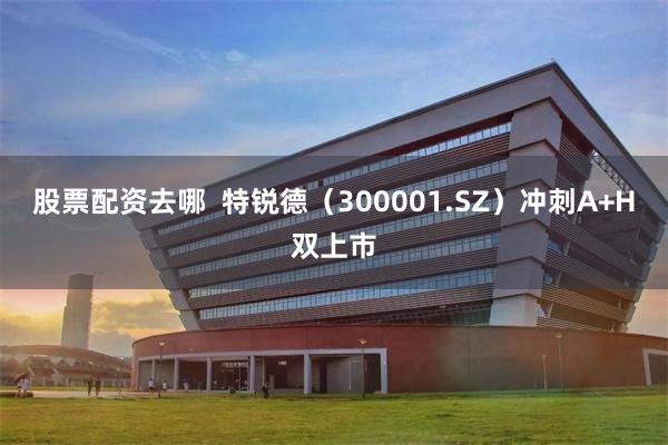 股票配资去哪  特锐德（300001.SZ）冲刺A+H双上市