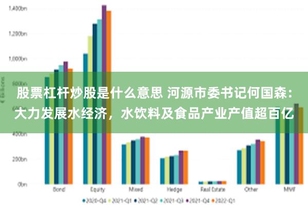 股票杠杆炒股是什么意思 河源市委书记何国森：大力发展水经济，水饮料及食品产业产值超百亿