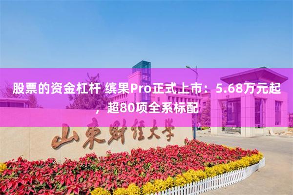 股票的资金杠杆 缤果Pro正式上市:5.68万元起,超80项全系标配