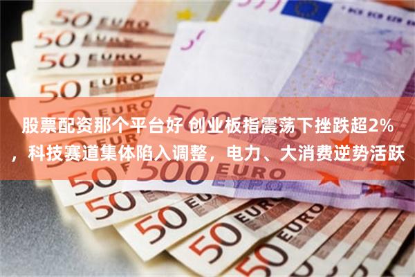 股票配资那个平台好 创业板指震荡下挫跌超2%，科技赛道集体陷入调整，电力、大消费逆势活跃