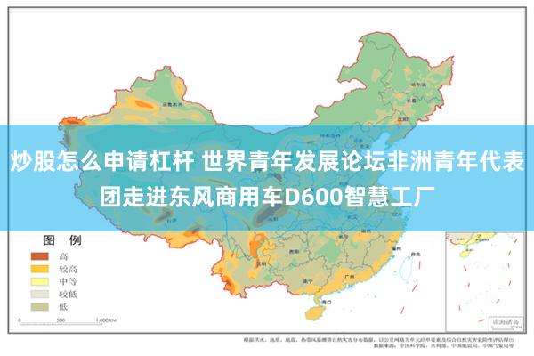 炒股怎么申请杠杆 世界青年发展论坛非洲青年代表团走进东风商用车D600智慧工厂