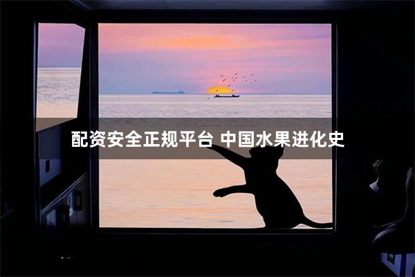 配资安全正规平台 中国水果进化史