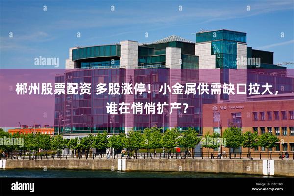 郴州股票配资 多股涨停！小金属供需缺口拉大，谁在悄悄扩产？