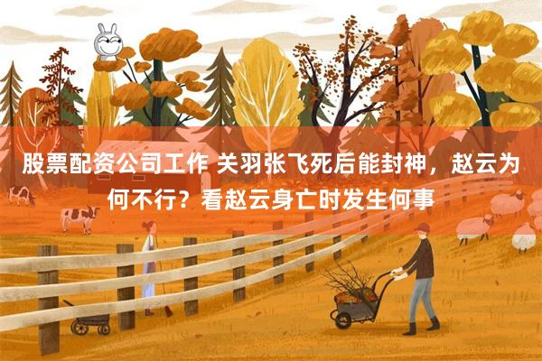 股票配资公司工作 关羽张飞死后能封神，赵云为何不行？看赵云身亡时发生何事