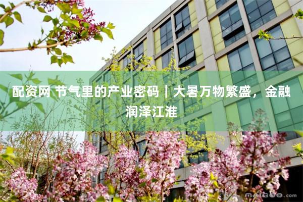 配资网 节气里的产业密码｜大暑万物繁盛，金融润泽江淮
