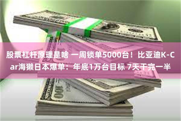股票杠杆原理是啥 一周锁单5000台!比亚迪K-Car海獭日本爆单:年底1万台目标 7天干完一半