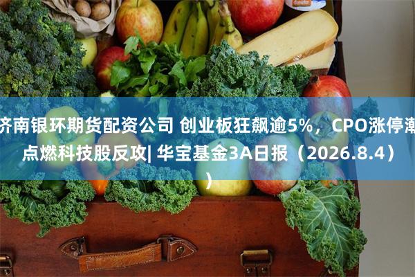 济南银环期货配资公司 创业板狂飙逾5%，CPO涨停潮点燃科技股反攻| 华宝基金3A日报（2026.8.4）