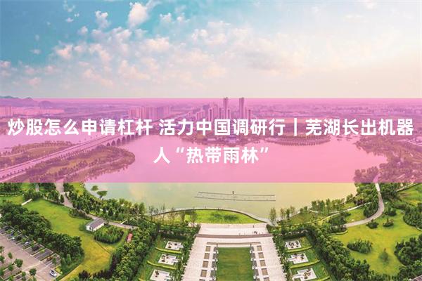 炒股怎么申请杠杆 活力中国调研行｜芜湖长出机器人“热带雨林”