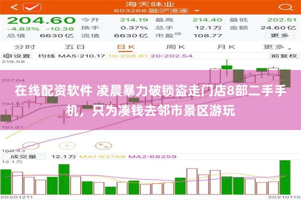 在线配资软件 凌晨暴力破锁盗走门店8部二手手机，只为凑钱去邻市景区游玩