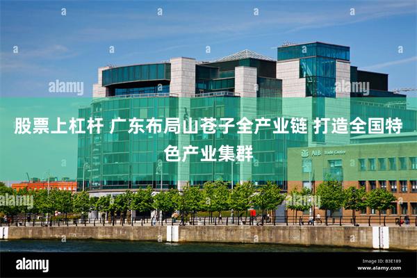 股票上杠杆 广东布局山苍子全产业链 打造全国特色产业集群