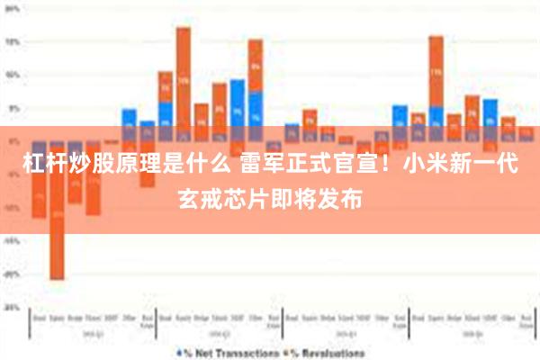 杠杆炒股原理是什么 雷军正式官宣!小米新一代玄戒芯片即将发布