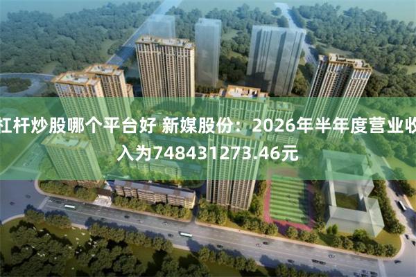 杠杆炒股哪个平台好 新媒股份：2026年半年度营业收入为748431273.46元