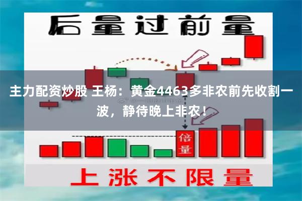 主力配资炒股 王杨：黄金4463多非农前先收割一波，静待晚上非农！