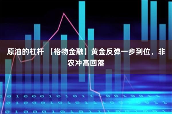 原油的杠杆 【格物金融】黄金反弹一步到位，非农冲高回落