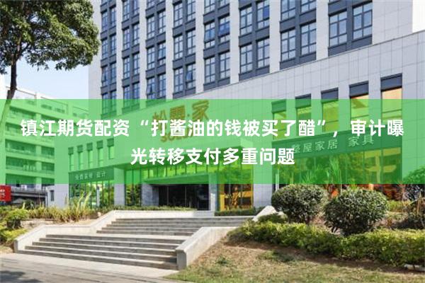 镇江期货配资 “打酱油的钱被买了醋”，审计曝光转移支付多重问题
