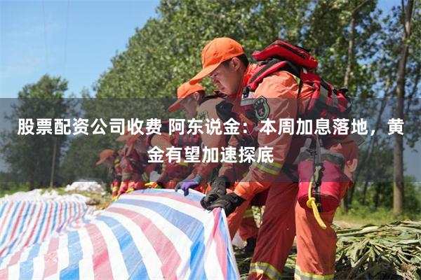 股票配资公司收费 阿东说金：本周加息落地，黄金有望加速探底