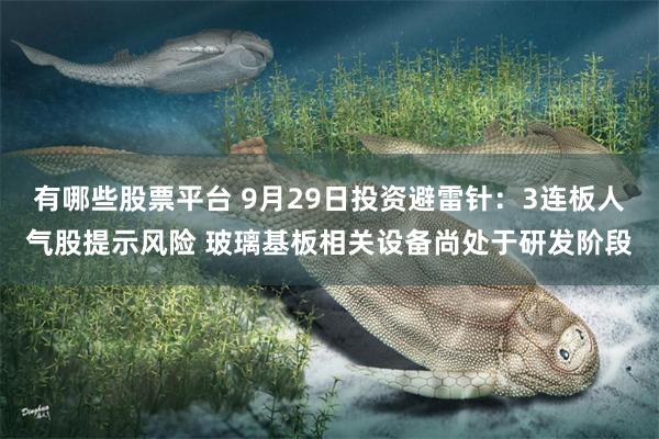有哪些股票平台 9月29日投资避雷针:3连板人气股提示风险 玻璃基板相关设备尚处于研发阶段