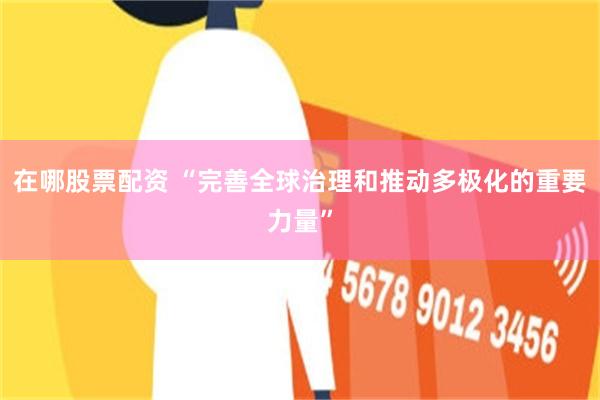 在哪股票配资 “完善全球治理和推动多极化的重要力量”